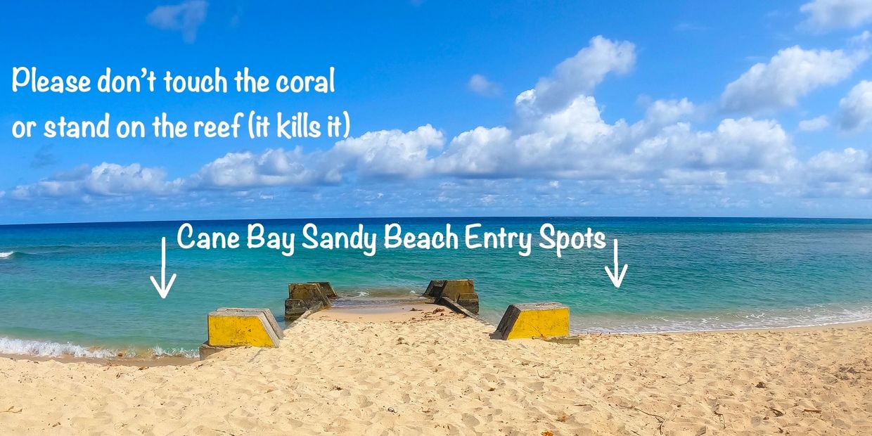 Island Tips CANE BAY SANCTUARY